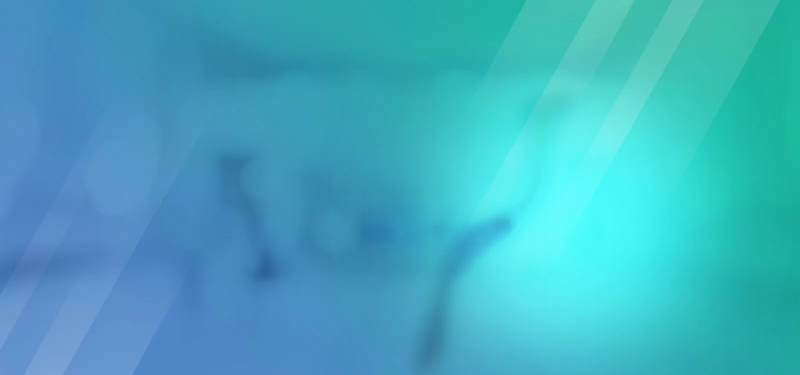banner-slide-1-bg1 bonedoc-banner1