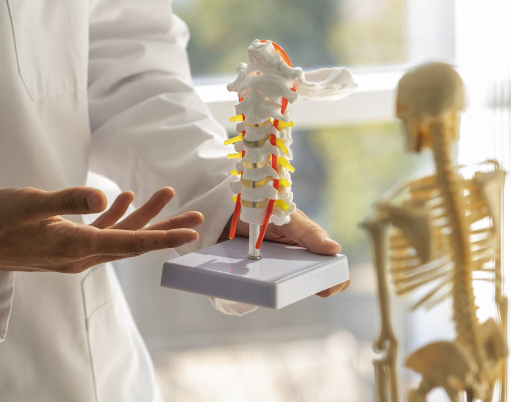 Orthopedic Doctor JP Nagar